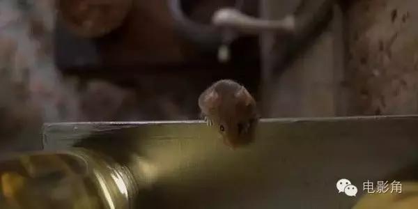 开脑洞：如果这5部电影里没有动物，后果将不堪设想