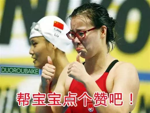 多肉挡雨遮阳布,伸缩挡雨架多肉