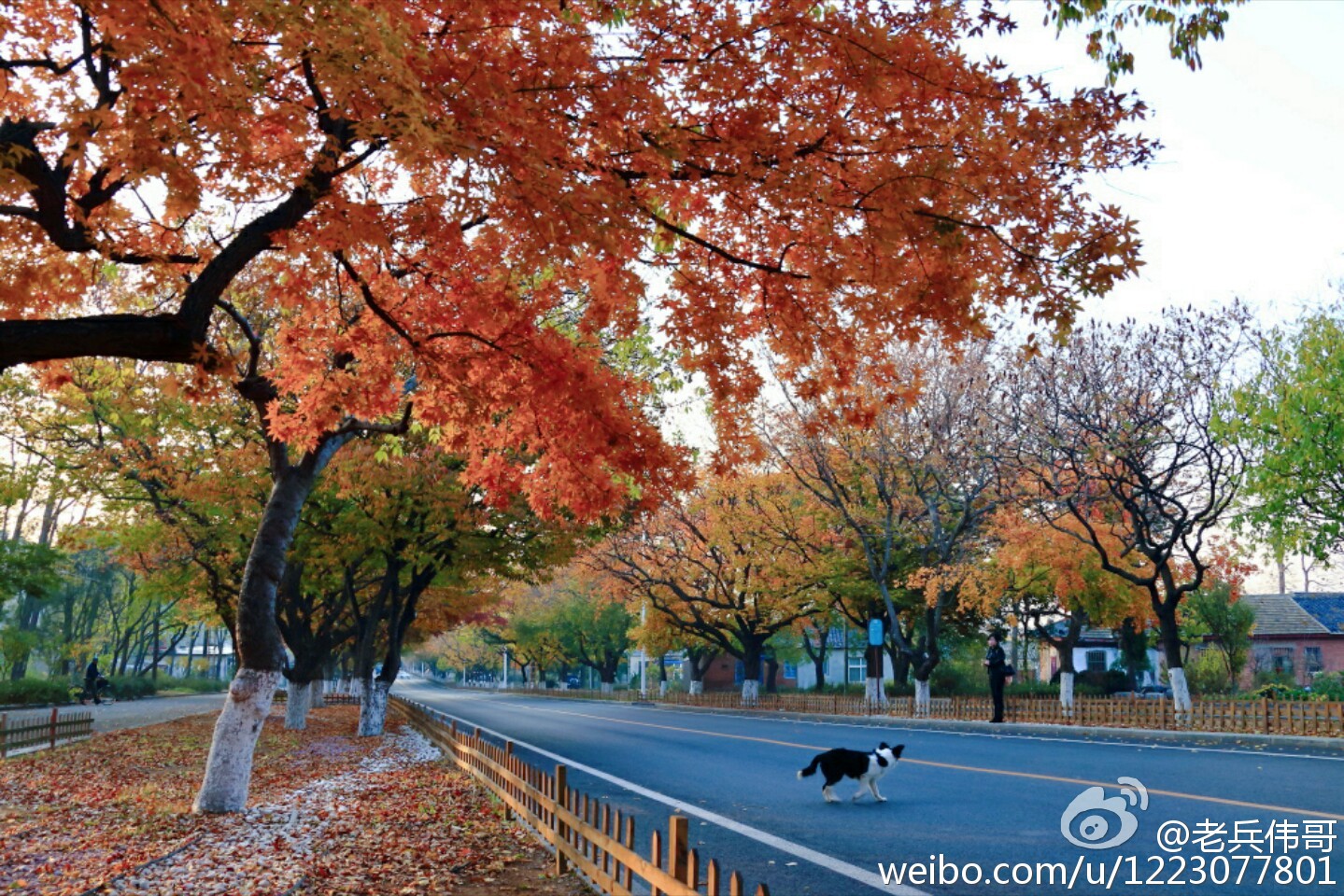 大连旅顺口好吗,旅顺值得住一晚吗