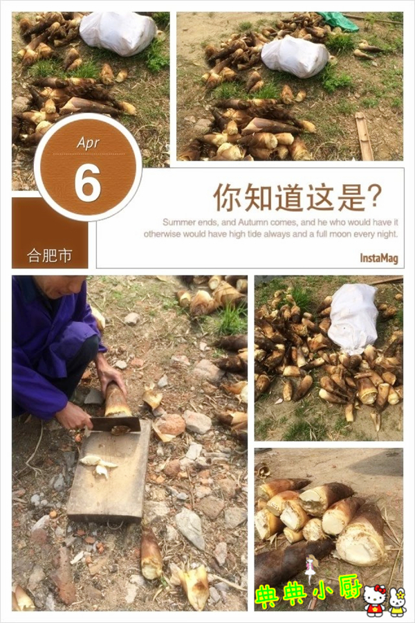 竹笋和什么肉最好吃,竹笋和莴笋烧肉怎么做好吃