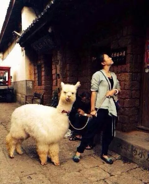 12星座辞职的理由,辞职方式之十二星座篇