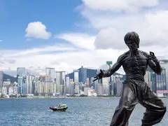 办理国际驾照能在国外开车吗,办理国际驾照需要哪些流程资料