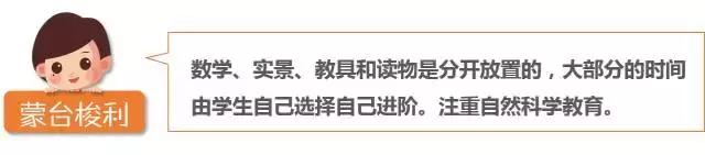 仅需10分钟，轻松搞清蒙氏、华德福、瑞吉欧三大幼教体系