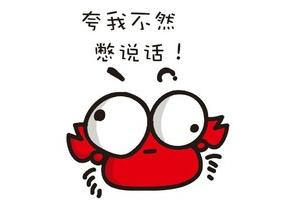 5分钟看懂道氏技术,五分钟告诉你什么是纯素