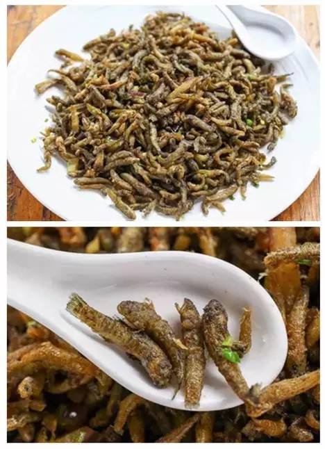 唔使搵啦！人均40元连电视台著名主持人都Hold唔住过来搵食