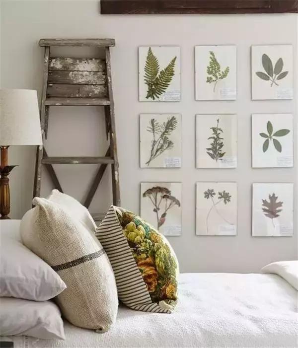 绿植盆栽都扔了,家里再穷也要丢掉的绿植