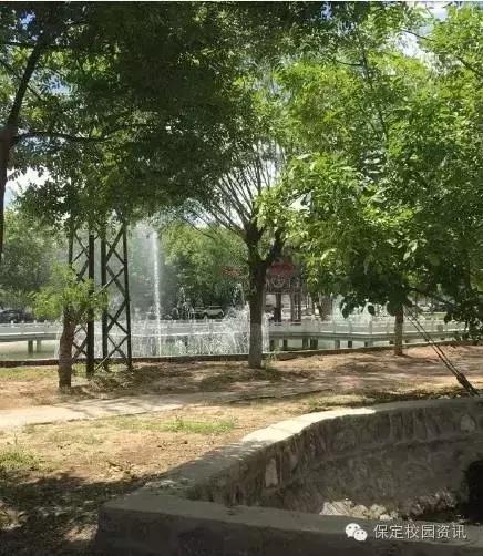 保定夏季“9所”最美大学校园