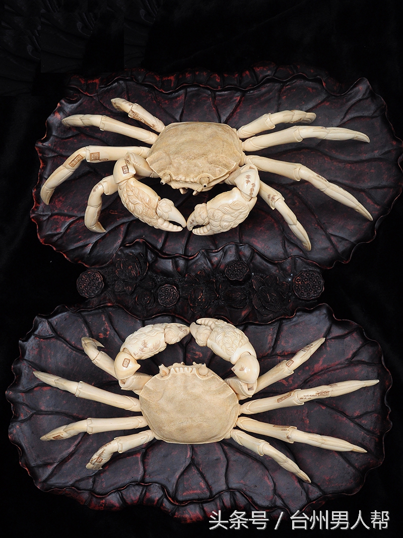 冰封数万年的猛犸象,藏传老猛犸象牙