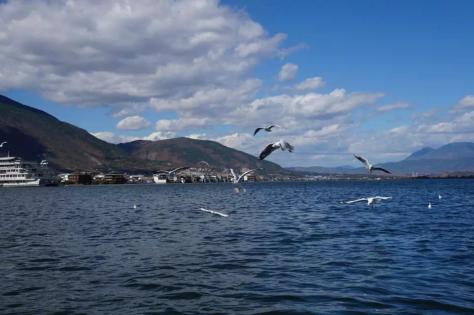 合肥自驾云南旅游攻略自由行详细,合肥去云南旅游攻略