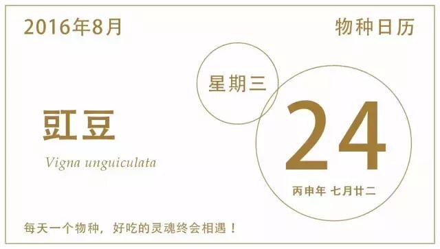 吃过无数遍，见到“豇豆”两个字还是会念错的一定不是我一个！