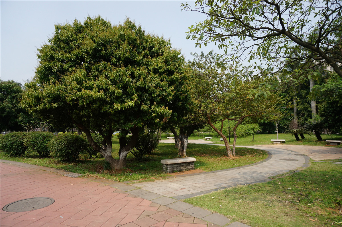 奔跑吧兄弟操场跑步哪一期,奔跑吧兄弟布拉格广场是哪一期