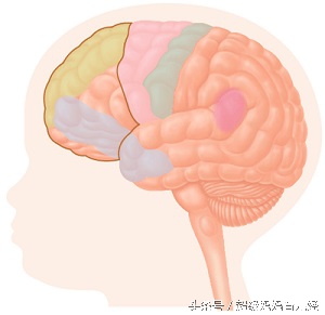 三个月宝宝囟门快闭合了是缺钙吗,宝宝一岁囟门没闭合是缺钙吗