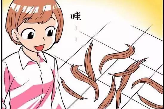 股市行情特效,五毛特效用哪个软件