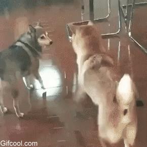 内德看英超微博,内德专栏新赛季看曼联什么