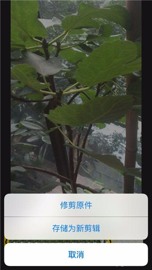 iphone录屏视频太大了,iphone如何把视频裁剪成两段