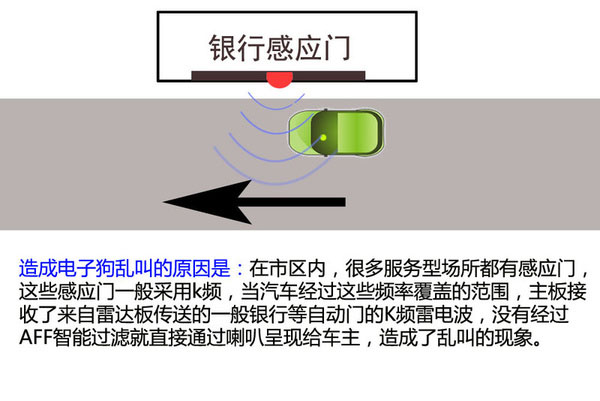 一张图看懂狗的智力,几张图看完狗的一生