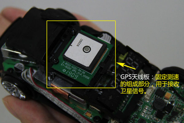 一张图看懂狗的智力,几张图看完狗的一生