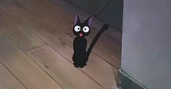 动漫卡通猫的名字,可爱动漫猫图片