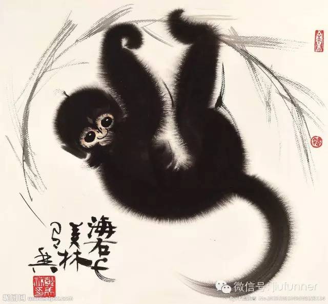 不服！我大华夏的猴子只能长这样吗？！