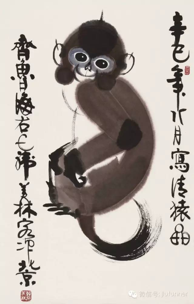 不服！我大华夏的猴子只能长这样吗？！