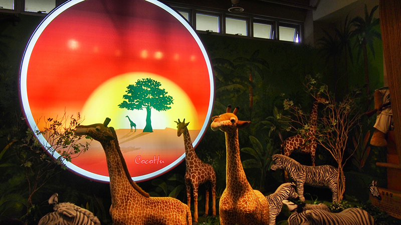 济州济州请留下一万个熊抱！