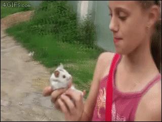 被春晚吉祥物丑哭了，那谜一样的「耳下两坨」难道不是腮腺肿物？