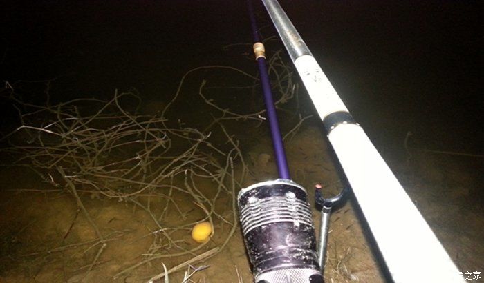 西江夜钓最佳时间,西江夜钓没口