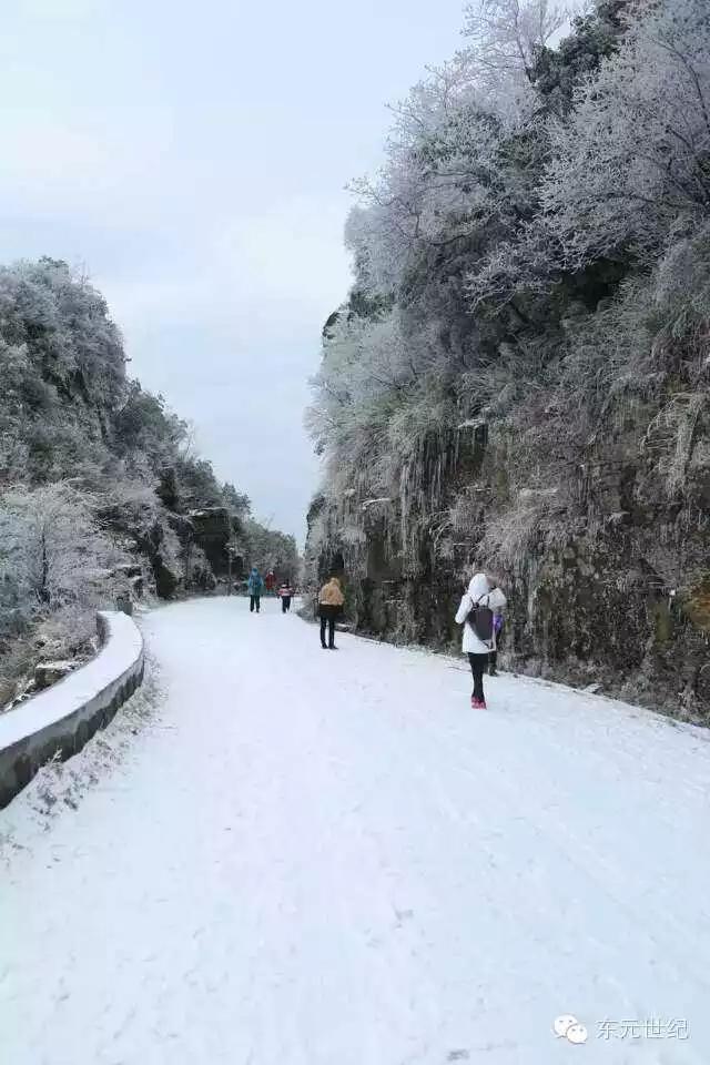 大明山海拔多少米,大明山海拔高