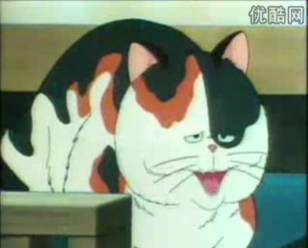 动漫卡通猫的名字,可爱动漫猫图片