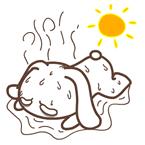 热起来全身痒,身上一捂热就痒怎么办