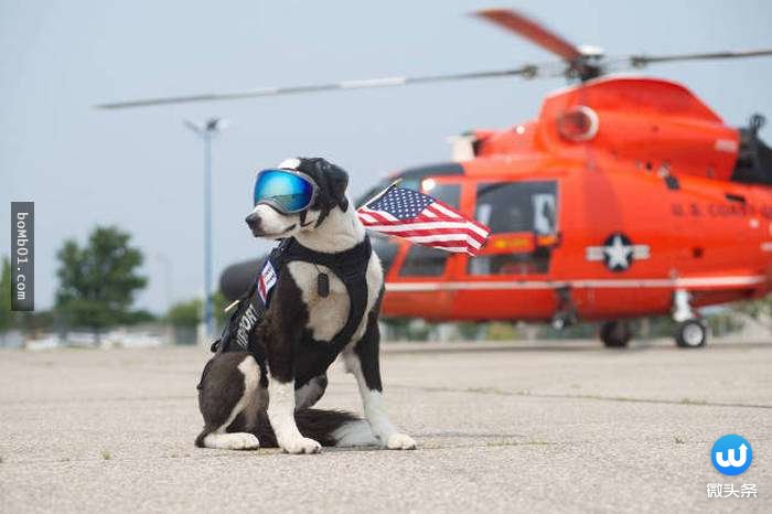 神奇而诡异的27张图,26张不可思议的相片