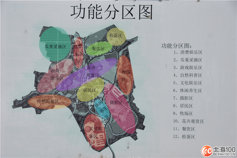 周末去哪儿玩？小编带你去合浦七里香茶庄园和石康镇“小村故事”