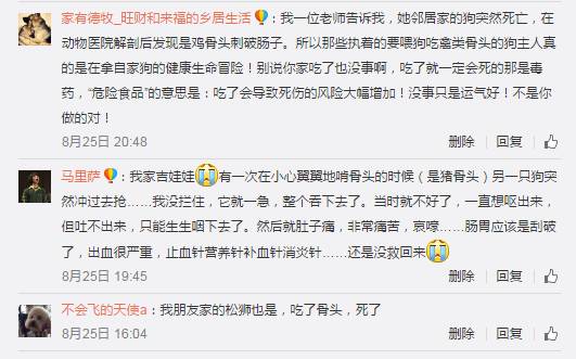 狗狗吃了骨头拉血是怎么回事,狗狗吃骨头拉血死亡