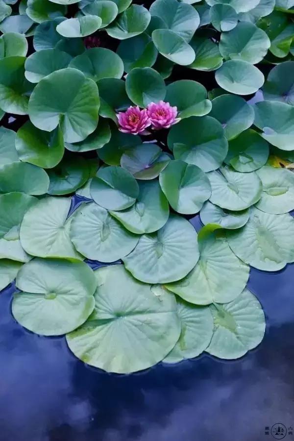 关于长情和深情的古诗词,最深的感情的古诗句