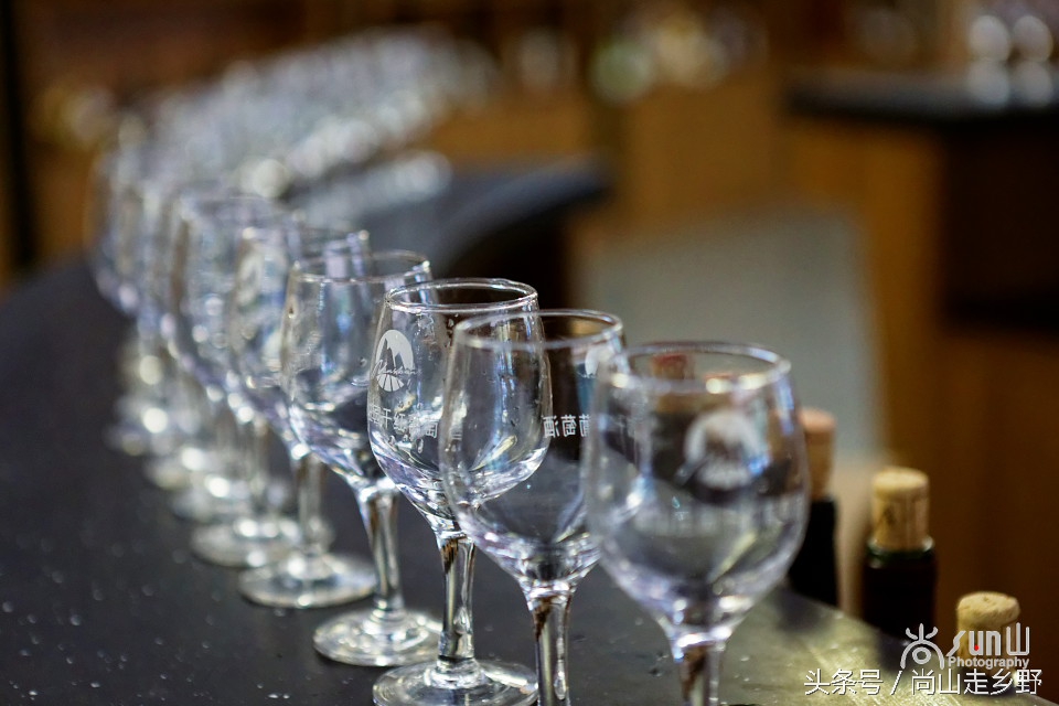 走进红酒庄园,走进葡萄庄园