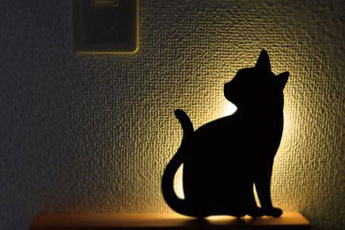 既平价又实用的中秋节礼物推荐,2020年中秋最佳礼物排行榜