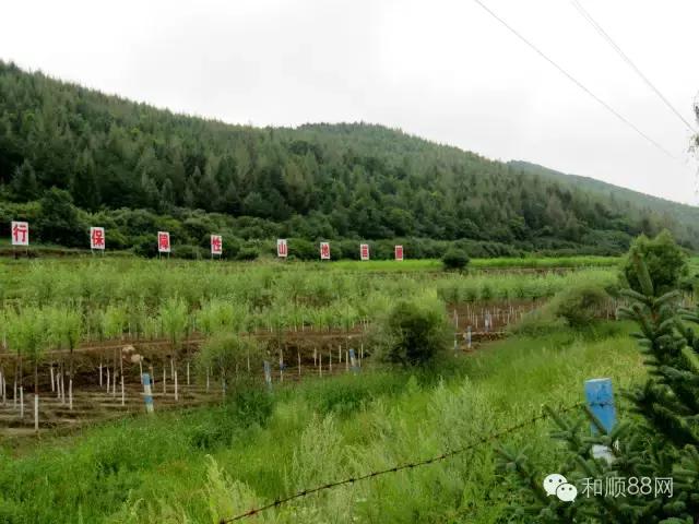 和顺县上元村太行山,和顺县自然风景