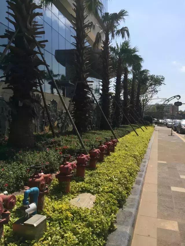 严谨的设计理念顶尖的施工技术,好的设计离不开施工