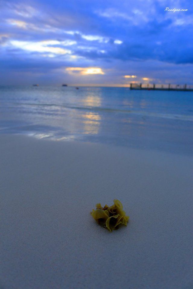 塞班岛，震撼人心的蓝色天堂