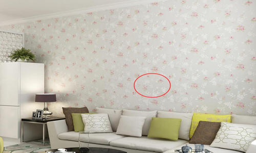 家装购买,家装壁纸怎么选