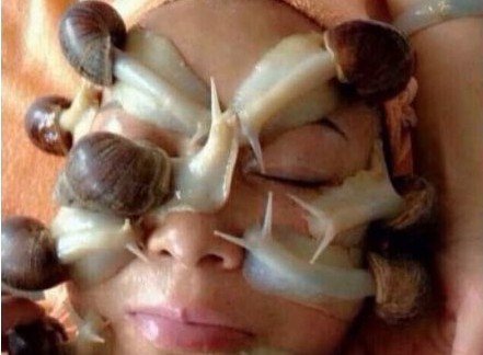 ​天呐，居然有人用蜗牛干这个......爱美人士必看！