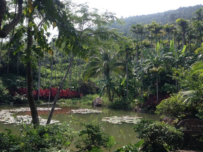 懒人版三亚旅游攻略,海南三亚懒人行租车