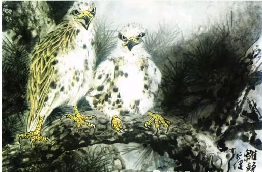 国画之鹰作品大全大图,国画大写意鹰图片大全