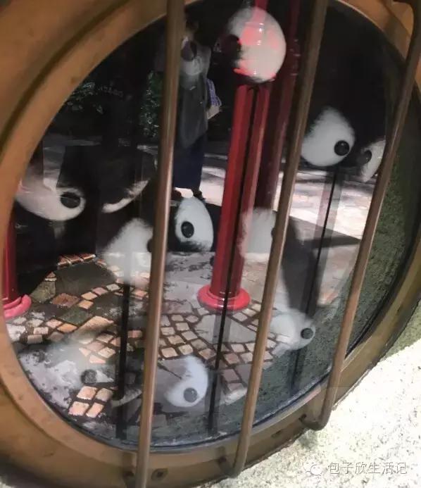 一个胖纸没有什么不好，最起码可以温暖其他人...