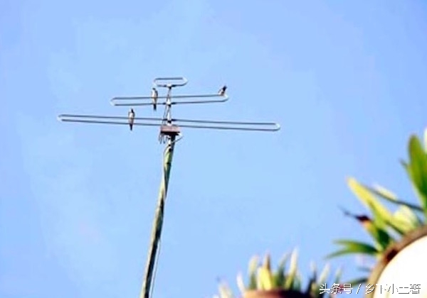 农村自制避雷针示意图,农村自制避雷针一共有多少根