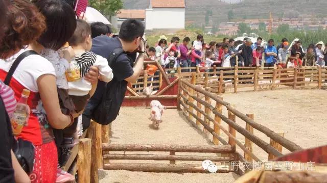 感恩教师节景区活动,感恩教师节门票优惠政策