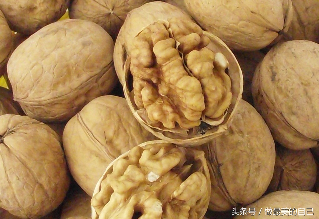 核桃的好处你知道多少,核桃是好东西还是坏的