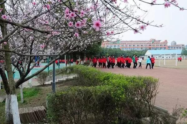 德阳美丽自然风光,德阳学校风景