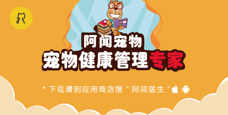 给猫咪剪指甲最好用的办法,给猫咪在家自己剪毛怎么剪