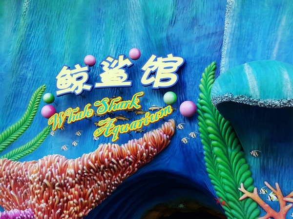 珠海长隆让人尖叫的海洋王国,珠海长隆海洋王国之绚丽多彩